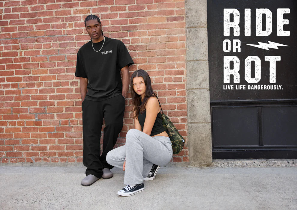 Ride or Rot⚡️ | Sick Bagger Bro Heavy Weight T-shirt